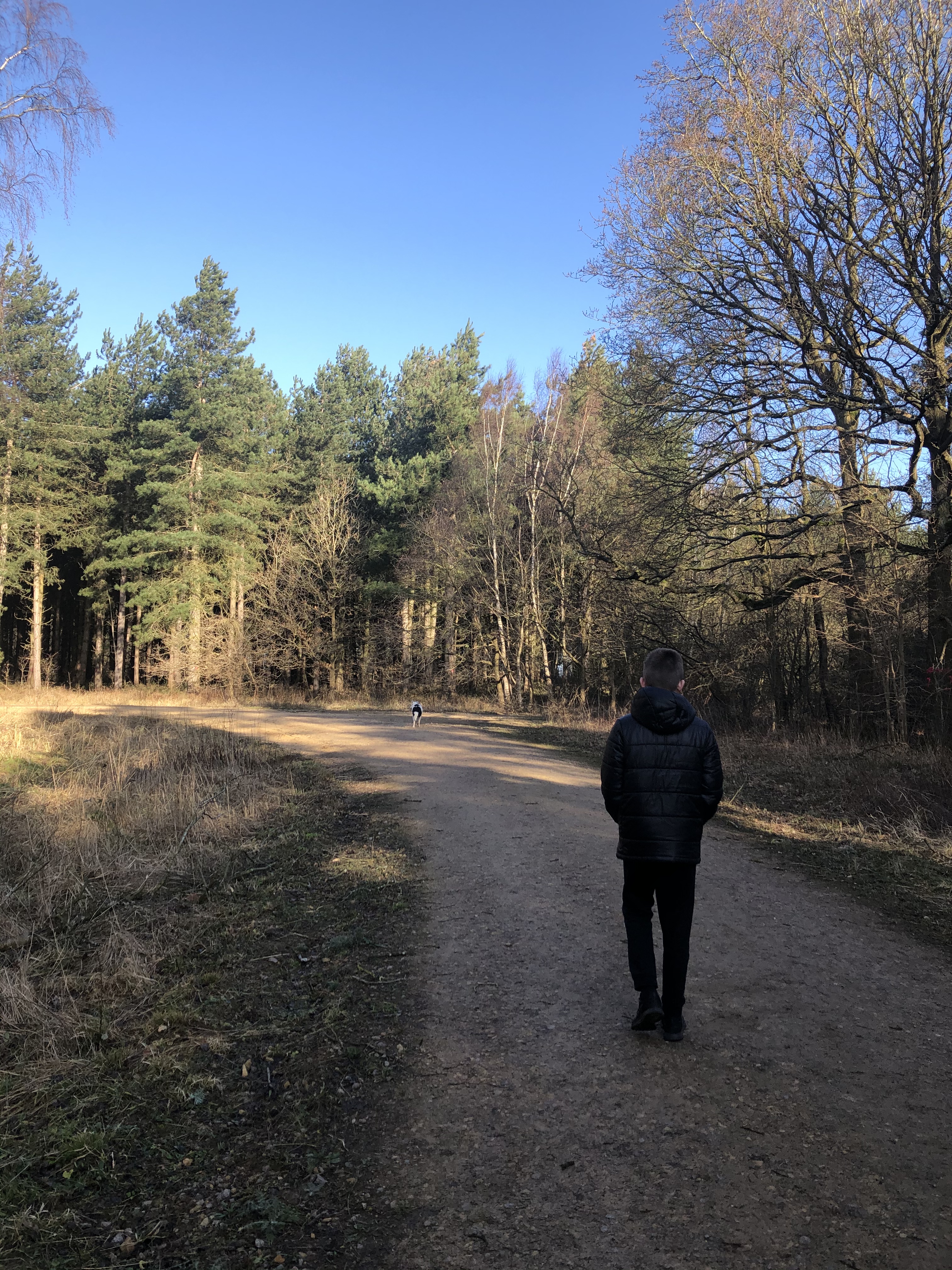 F1FA4823-60B2-4CAD-B155-F5B1179B09B9