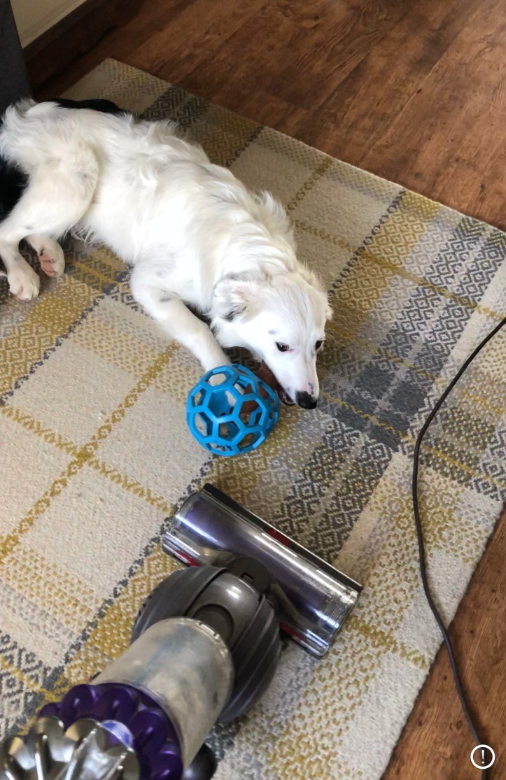 FF4C8CDB-E5B0-4740-BF3A-DE6B669AEFB2