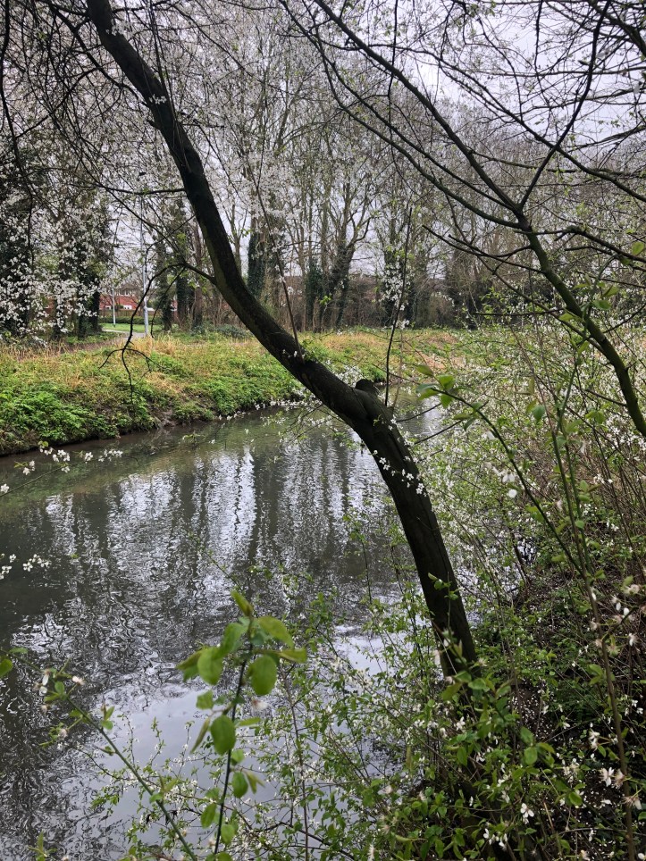 09CD60CD-FFF0-490F-AE77-E4DA311706A6