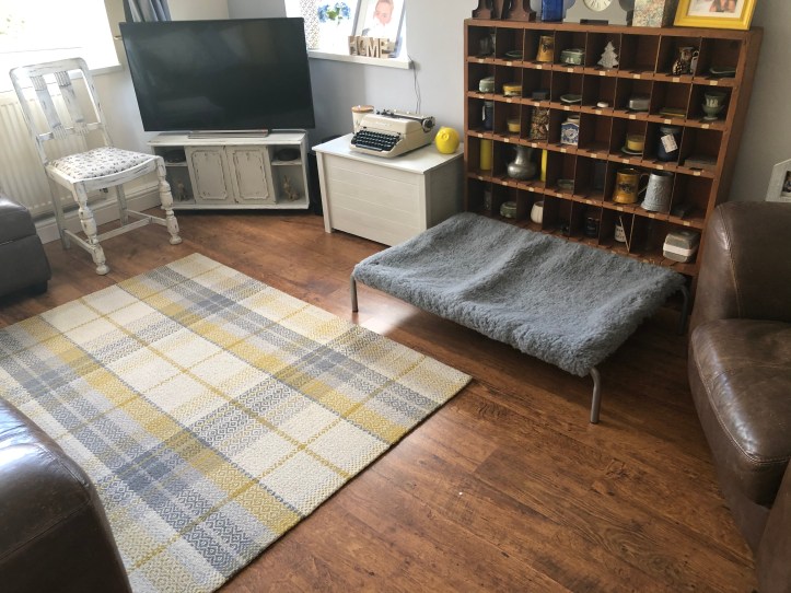 0A4DBCCD-A352-4F65-AD28-B4737A6D64EE