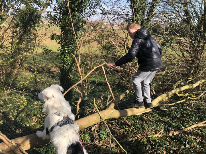 2B955F65-58E4-41D4-B4B2-55AC3045C260