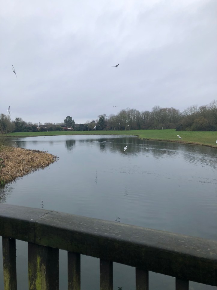 3DC66760-55CC-4F12-A673-9F0566FD120B