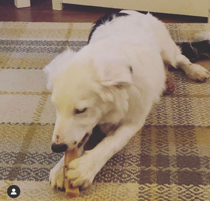 40BFBA8F-28A8-45EE-8C62-8DF24F559E98