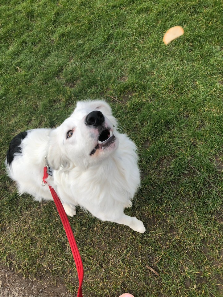 4BE39F3E-8846-4063-93BC-64A923C4A67B