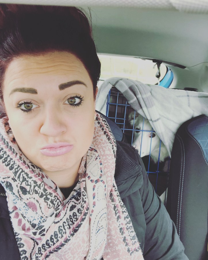 67045575-BFB1-45A0-AD4F-E5ACAA8561A8