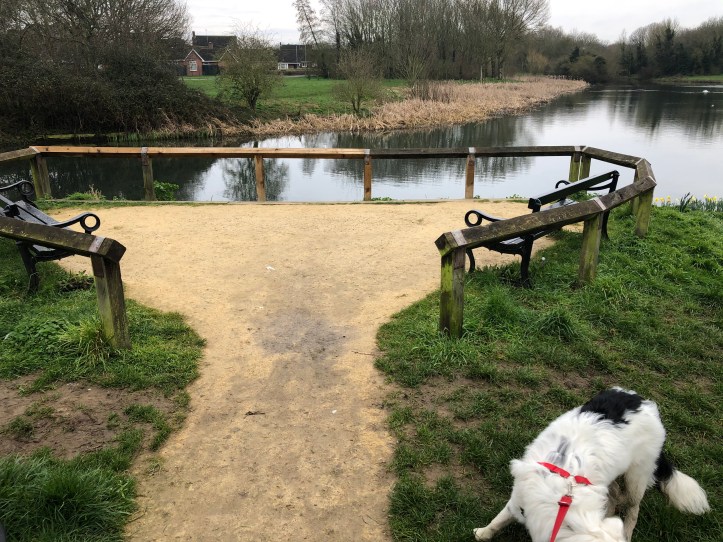 7AC96A31-2E8F-41CE-8ACA-4790EA8EBD41