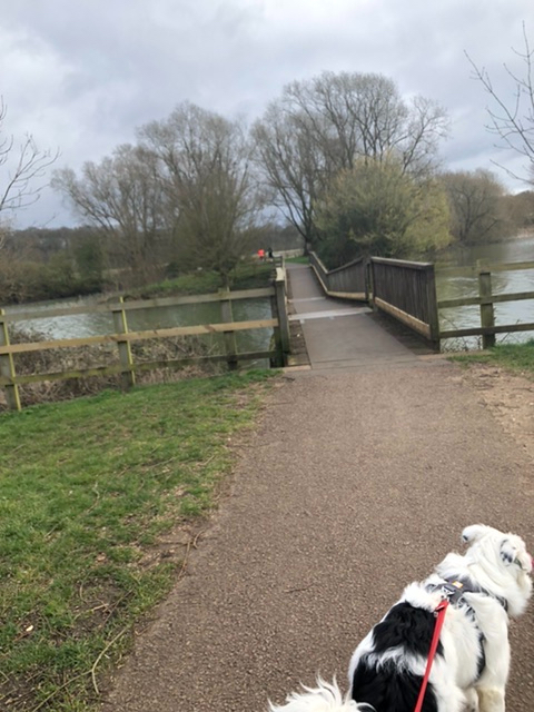 82E3F0F0-53F3-4BC2-9763-D54680CD029D