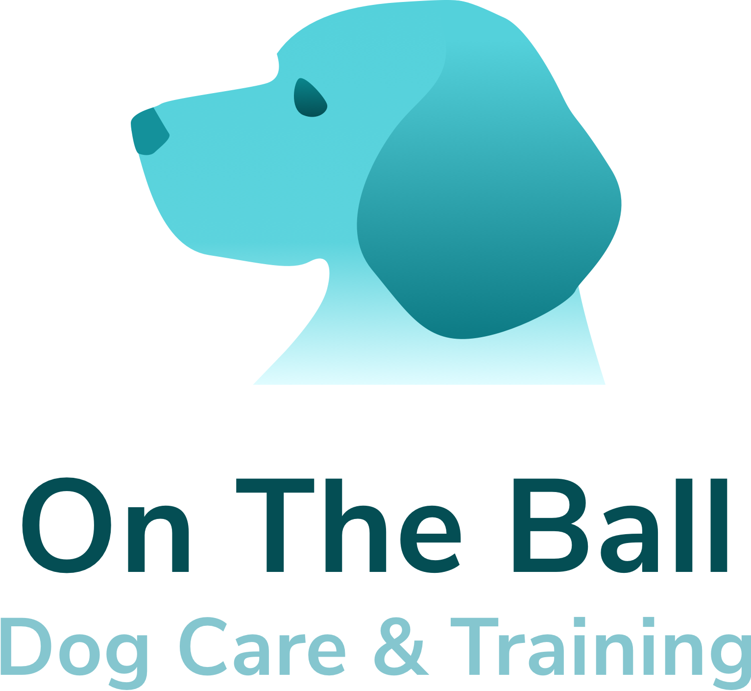 9A5C5A43-6ADD-4B93-B833-7F619B531252