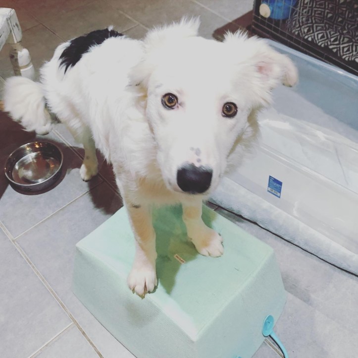 A333B600-72EF-4F0E-A65D-ACF8EEAEC2EA