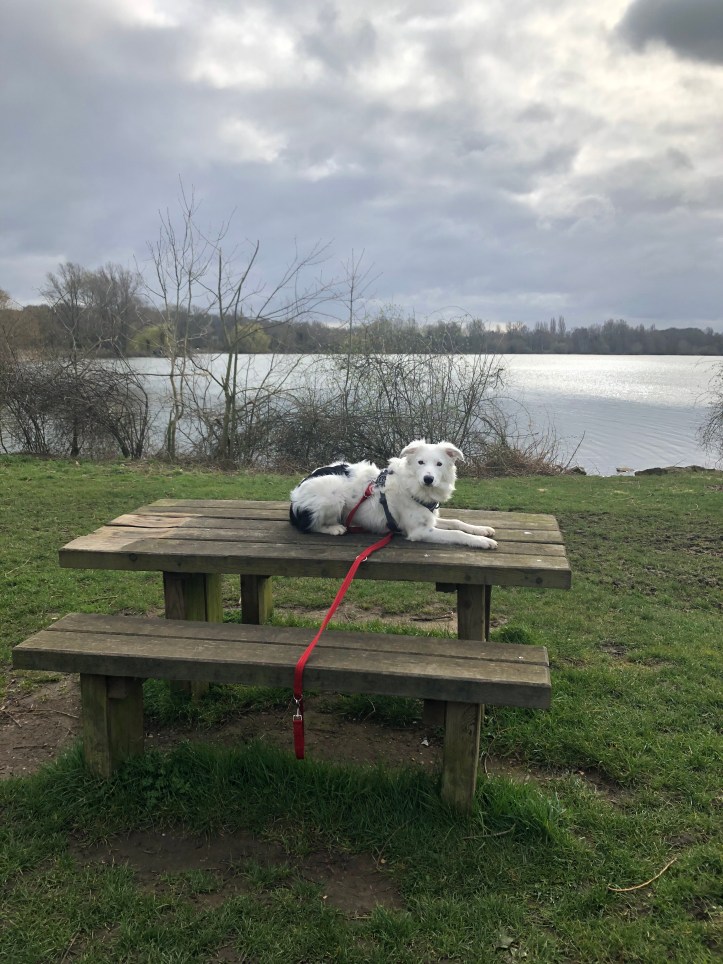 A6D830DA-BE67-4332-90DD-C99D80D56544