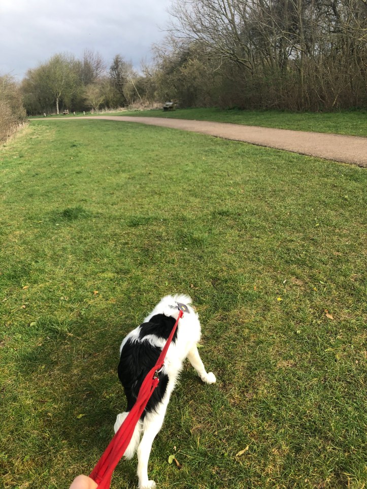 BBAE9E98-0749-44EC-8EC5-137F5686D4D0