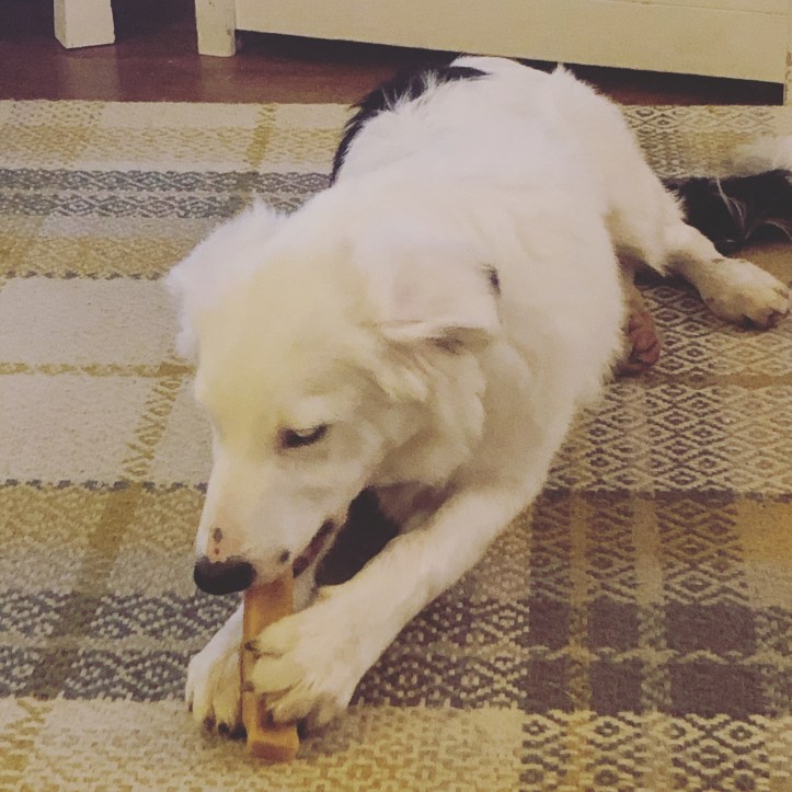 C73B430E-5FE0-4A56-A0C8-ACB3BF75ADE1