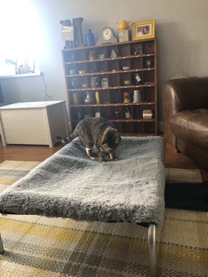 C9B5E32D-3793-4206-ADCB-F3C2D3FFB3BC