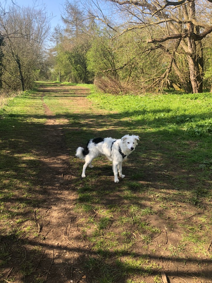 CBC8C484-4EAE-4651-AD9E-EB29CC3F2A12