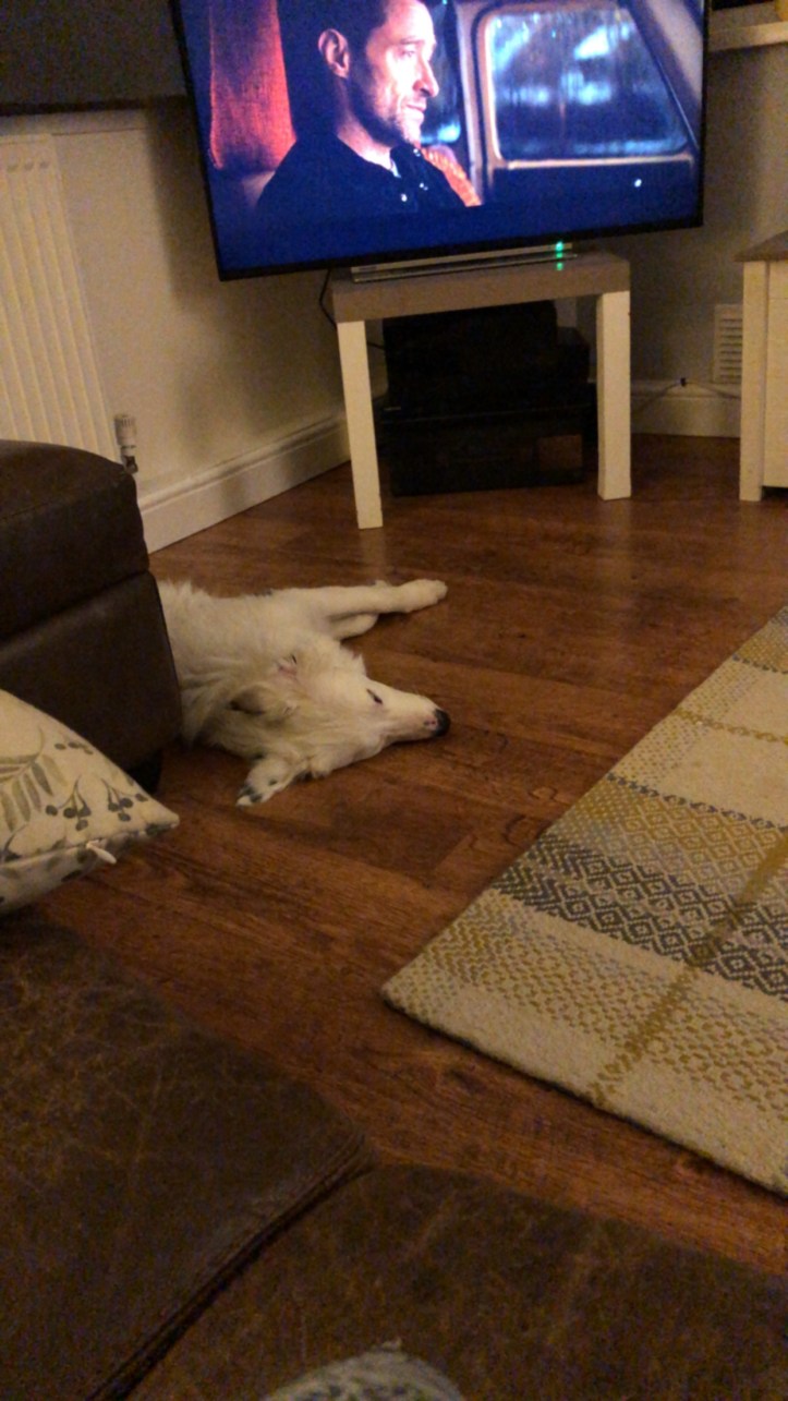 D7C093C5-DEC8-4FAF-8B52-8E91455D859E