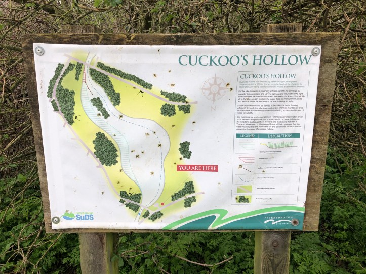 E2189FCA-2CBA-4AEA-880C-F667E1E13AE1