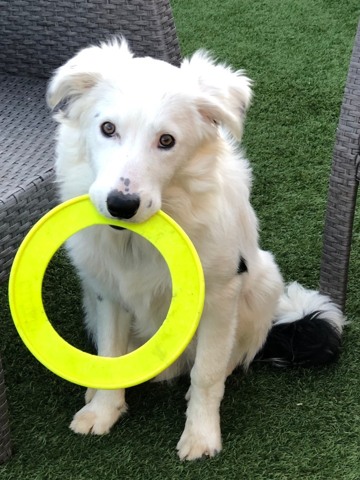 EA6B836C-141C-410F-A9FA-BEC33EE2AD5F