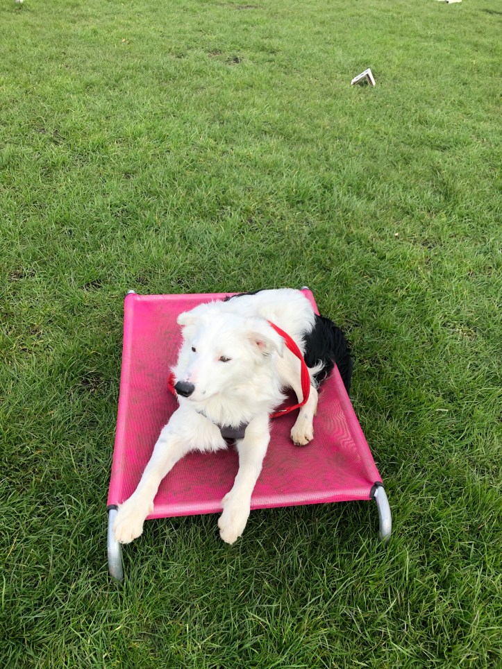 EB31A10D-829E-4F6E-81B8-C5589606F8F3