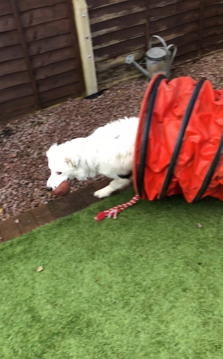 F1C0FD8F-F0E3-4FC2-99C1-4C2B01D7DF3C