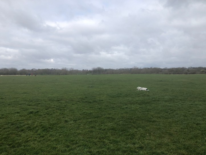 FB4534FF-0965-4CD0-BBBC-4C29B4FFDD92