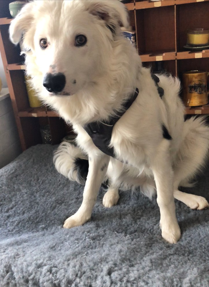 FBCF3FBD-C2F2-4D30-82C6-1E91BE9D612A