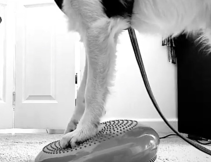 A74CD5D0-97F9-4974-AD05-6F5B22011868