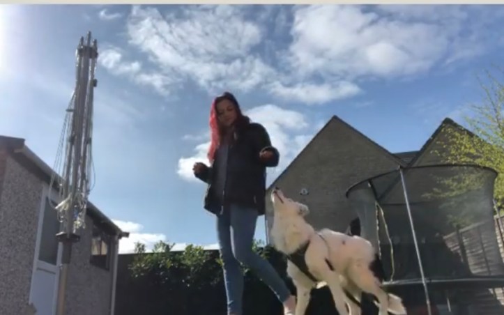 F0A96480-B432-4021-8ED3-83C86579BDD7