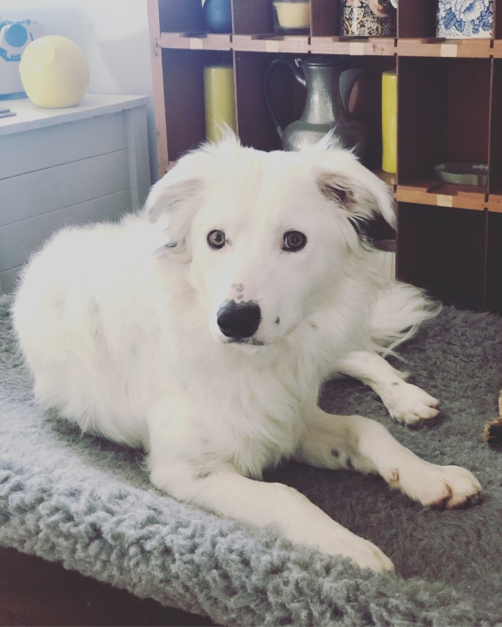 08dffbb1-0092-40b9-88de-c0576d334982