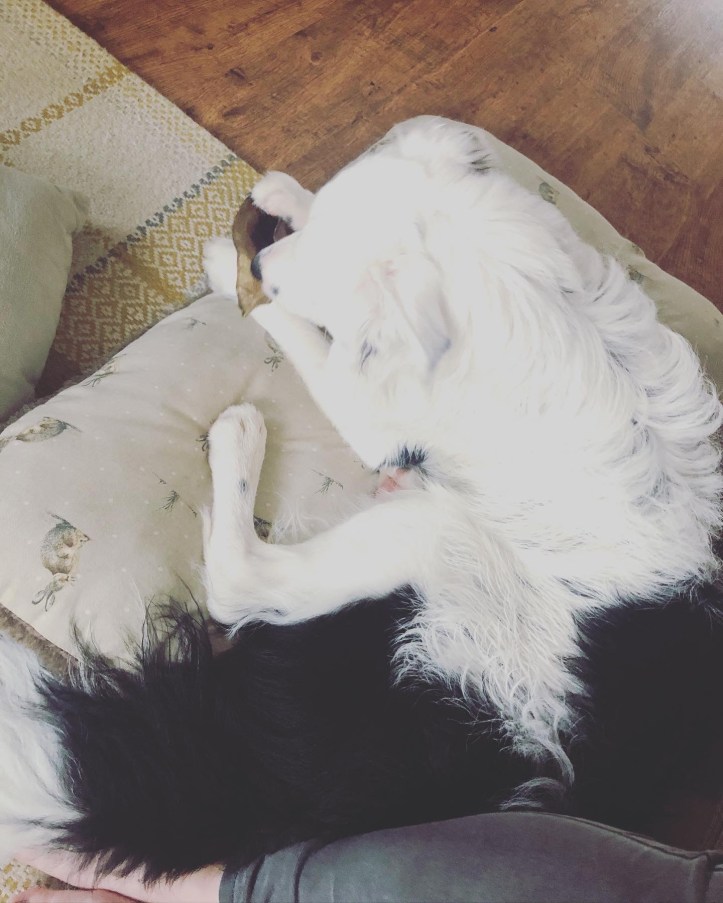 0a43d615-ceaf-4986-b516-cf6fe536c89b