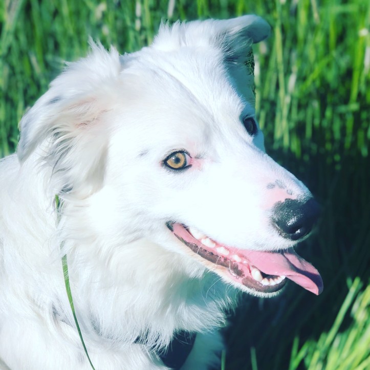 6ebaba63-f0fc-44bb-9774-10a2a3d93d52